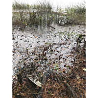 October 27 2018 image